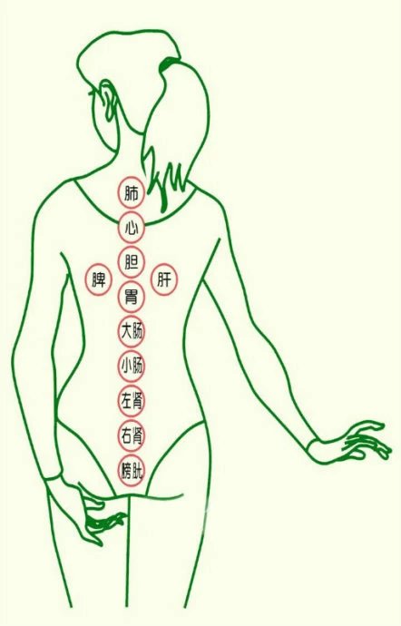 拔罐技巧视频教程全集,拔罐技巧怎么拔得更紧