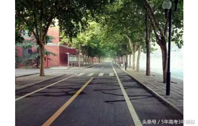 真实的郑州外国语学校,郑州外国语学校2019