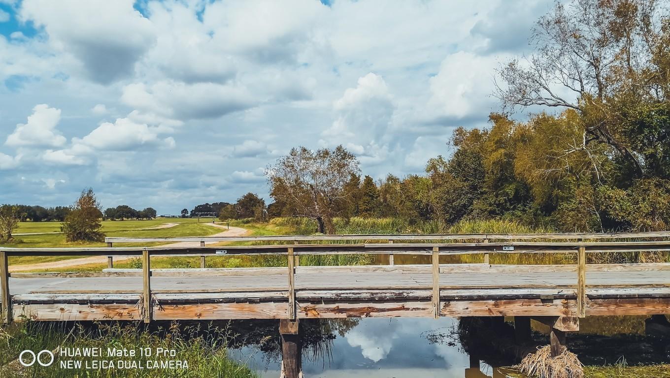 鍐呭崕杈惧窞鑻辨枃姝屾洸,鍐呭崕杈惧窞鐨勬瓕