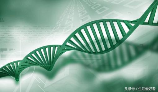 没有遗传基因脱发会秃头吗,遗传脱发基因到底有多可怕