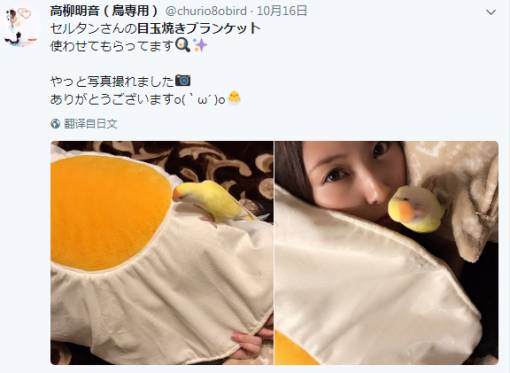 社交电商跨境电商,社交电商移动电商