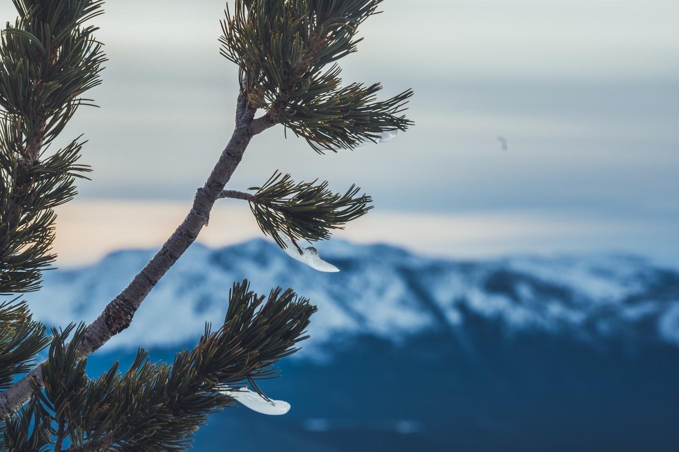 鍐呭崕杈惧窞鑻辨枃姝屾洸,鍐呭崕杈惧窞鐨勬瓕