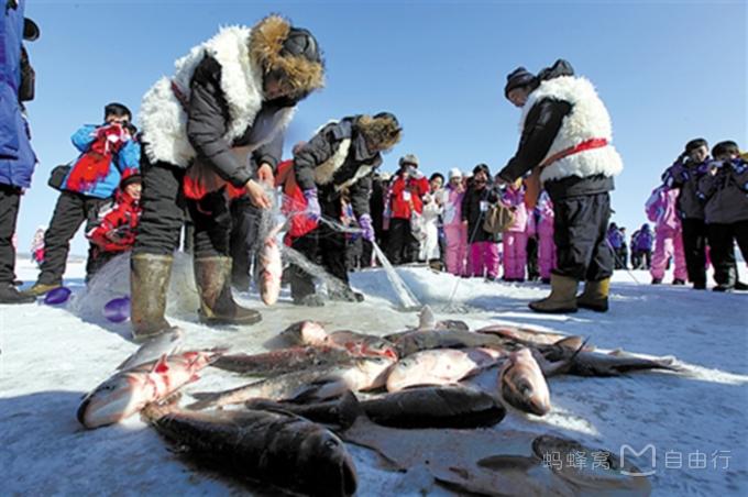 漠河包车旅游攻略,漠河北极村旅游包车