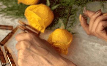 安瓶爆款榜,安瓶推荐什么牌子