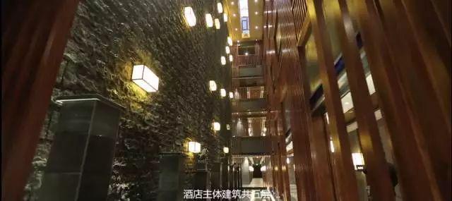 离城市不远靠自然很近,离城市不远却离自然很近完整版