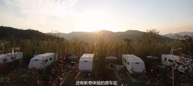 离城市不远靠自然很近,离城市不远却离自然很近完整版