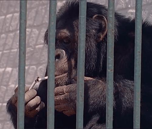 国外ktv都是中国人开的吗,国外的ktv风格