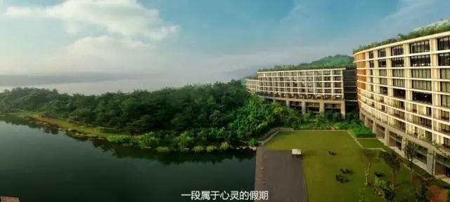 离城市不远靠自然很近,离城市不远却离自然很近完整版