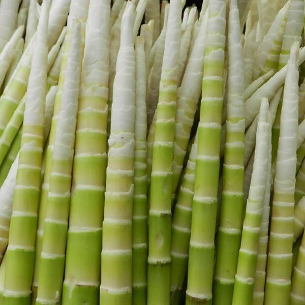 它清香微苦回甜滑口它对人体能起到特殊营养的作用