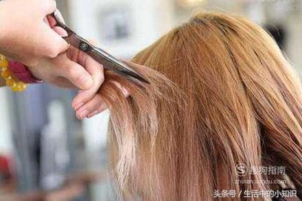 头上长虱子怎么办如何处理,头上长虱子的疤痕怎么消除