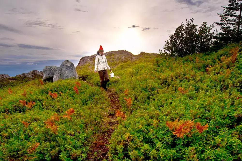 加拿大外星酒店,国外外星酒店