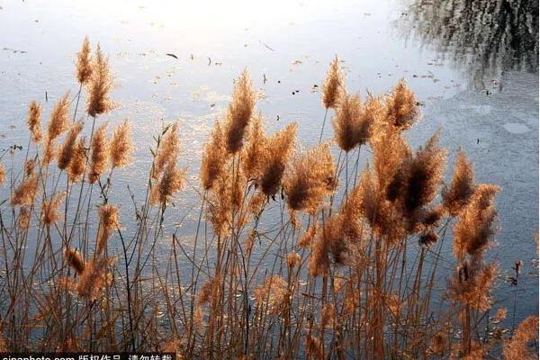 5月北京最值得去18个绝美天堂,11月北京周边游必去第一名