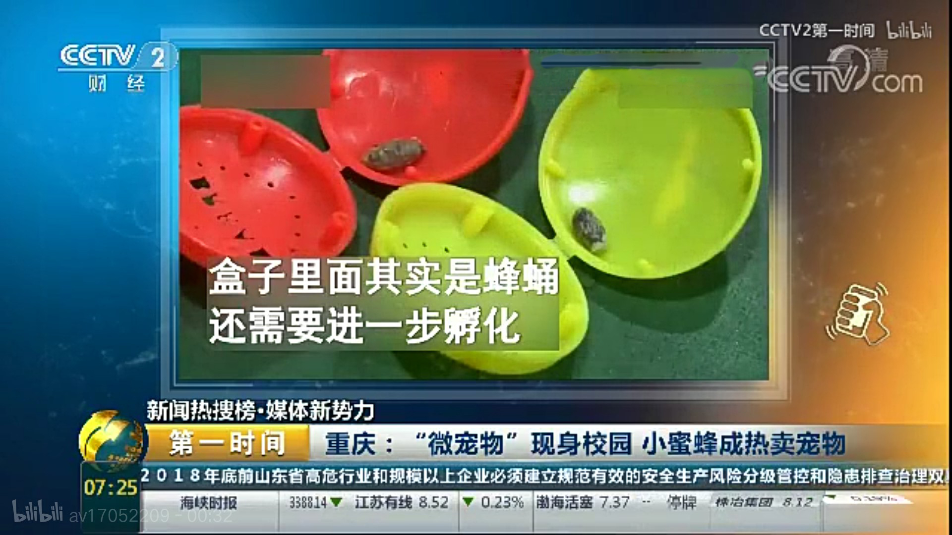 盘点小学生在学校里养的奇葩宠物,小学生小型宠物10元以下