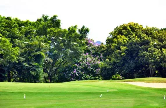 深圳亲子酒店攻略,深圳周边游亲子游玩推荐