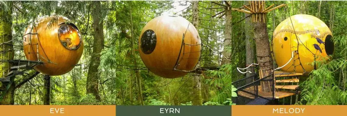 加拿大外星酒店,国外外星酒店