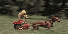 万万没想到!它低调了450多年,却因上海迪士尼一夜间火遍全国!