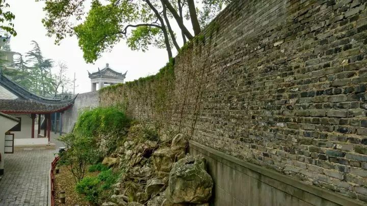 万万没想到!它低调了450多年,却因上海迪士尼一夜间火遍全国!