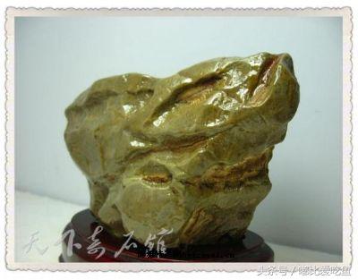 漳州市特产有哪些,漳州的特产有哪些介绍