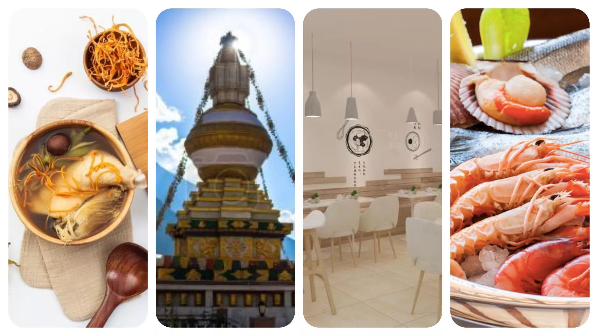 这周8家吃穿玩乐公司成功融资（华丽中国投资周报四十六期）