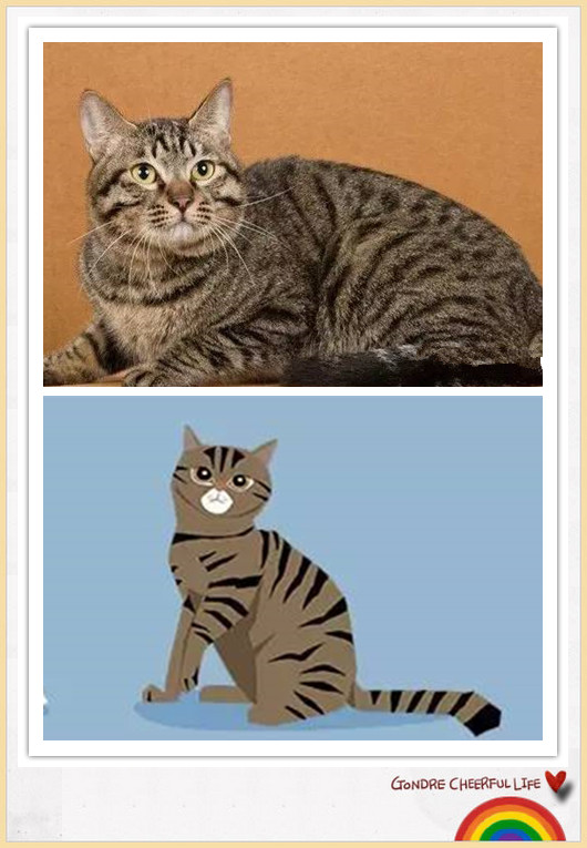 猫咪插画手绘图片,各种猫咪萌化图片