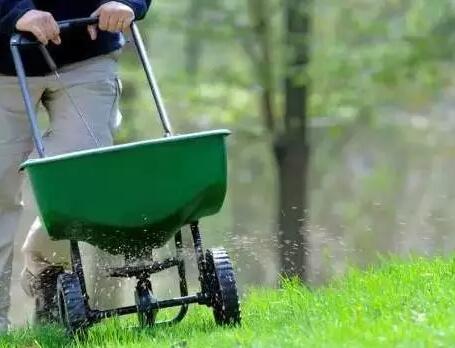 如何做好新植草坪的养护管理,新种植草坪的养护管理