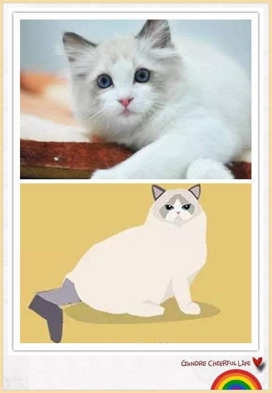 猫咪插画手绘图片,各种猫咪萌化图片