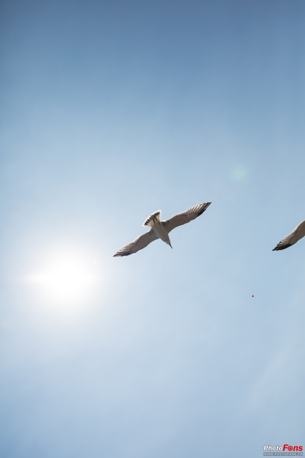 适马18-50mmf2.8缺点和不足,适马24-70f2.8和适马三剑客怎么选