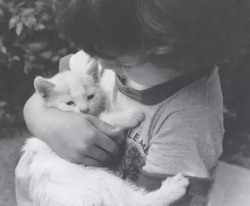 豆瓣日记设置公开,豆瓣日记怎么写