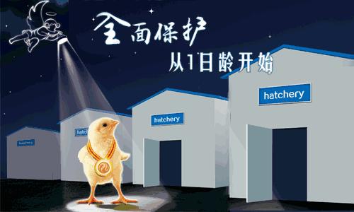 兽药的休药期和弃乳期,兽药休药期禁用药物