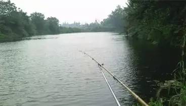 成都2020十大免费钓鱼地方,成都钓鱼地点推荐大全