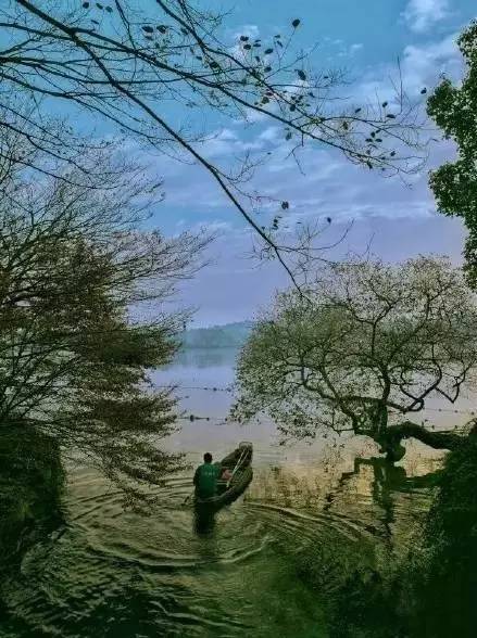 杭州自然现象,西湖十大奇怪现象