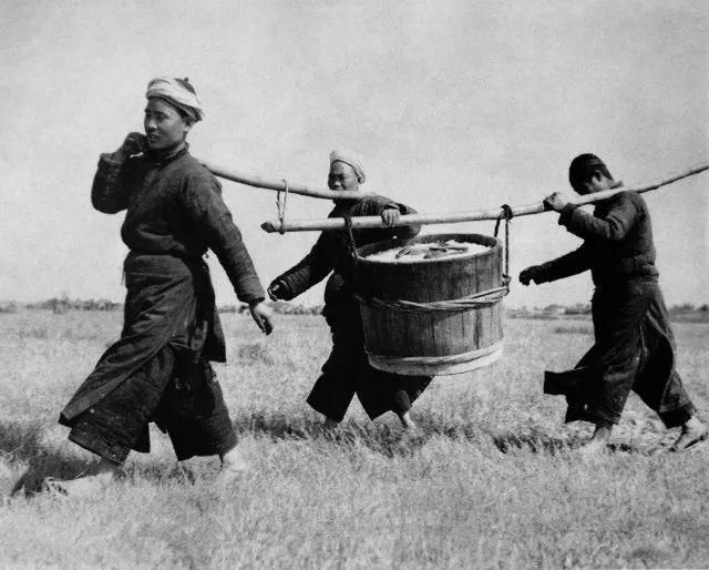 滇西抗战电影三部曲,滇西抗战三部曲免费阅读