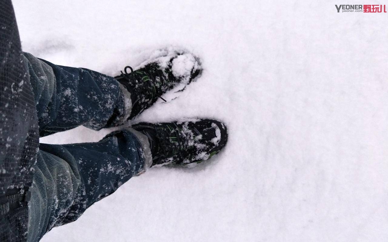 thenorthface性价比最高单品,thenorthface是什么牌子