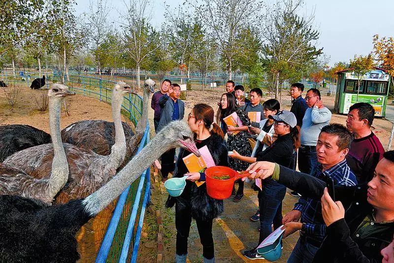 穿越秦楚古道感受千年历史,穿越时空体验秦汉之旅