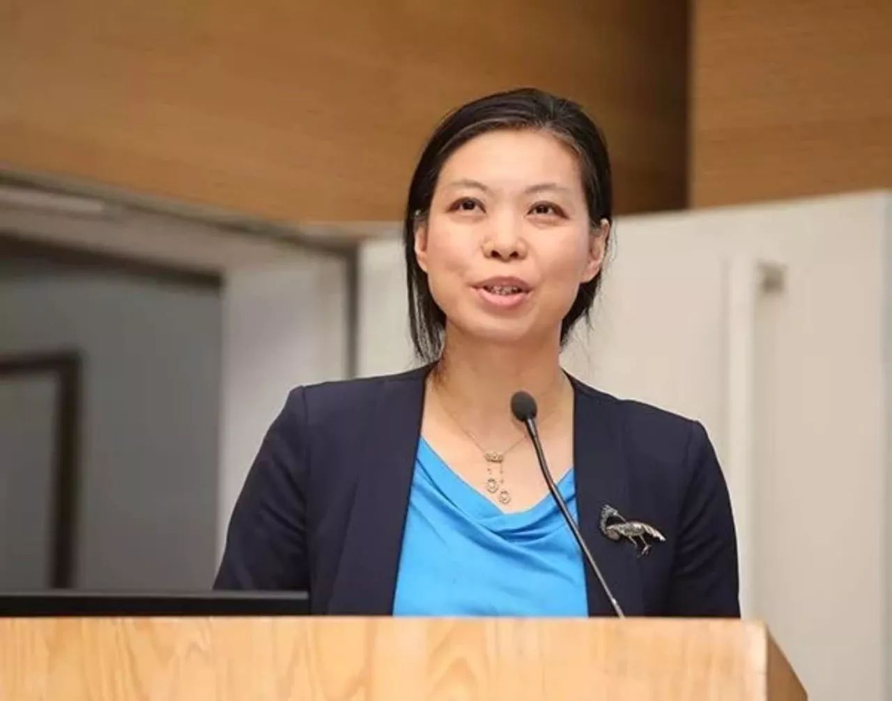 北京冬奥会冬残奥会体育图标发布,北京冬奥会和冬残奥会会徽