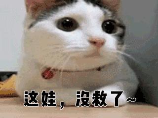 当代中年少女的几大特征,社会新群体中年女性特征