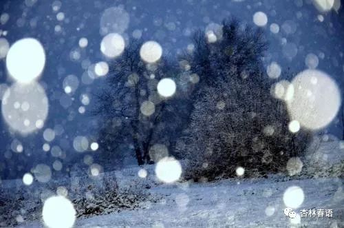 冬至贴三九贴有效果么,冬至贴三九贴好吗