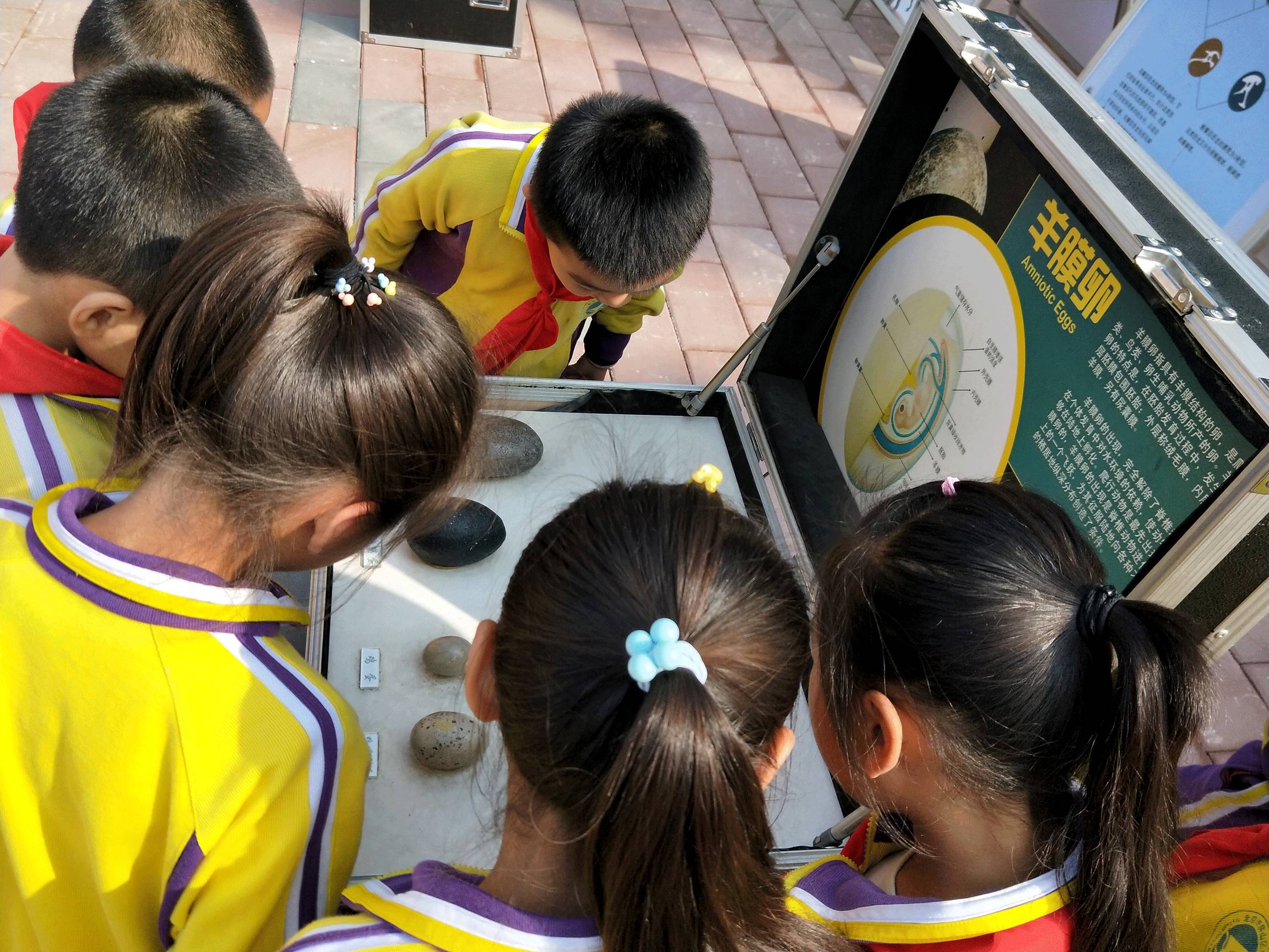 文案比不过小学生？快来房山最具人气的图书馆充充电！