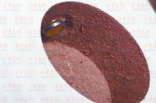 网友网购实木床,网友购买实木家具