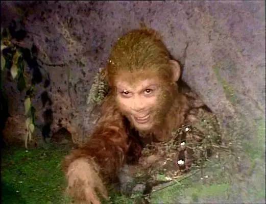 寰鍫傝タ娓歌,瑗挎父璁板井璇惧爞