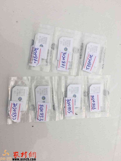 铁通电话卡停网了,铁通电话卡为什么不能办了