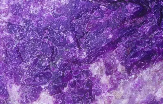 教育从新开始,教育从春天出发