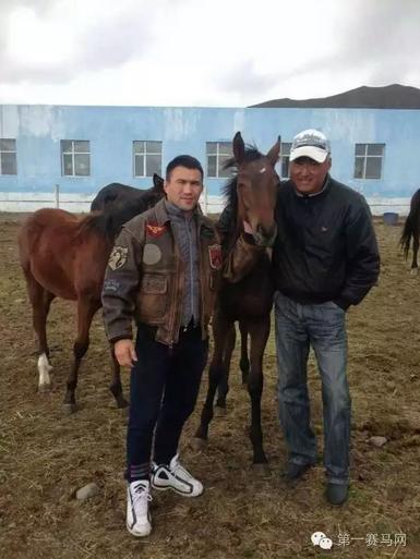 拳坛名人“天山雪豹”购入纯血马引发轰动