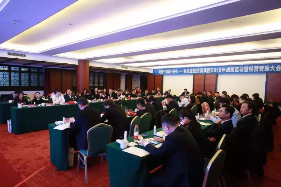 一体两翼发展战略,一体两翼再次腾飞