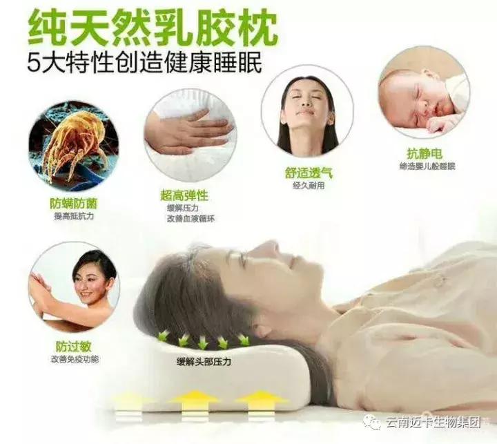 泰国皇家乳胶官网,泰国乳胶枕头骗局