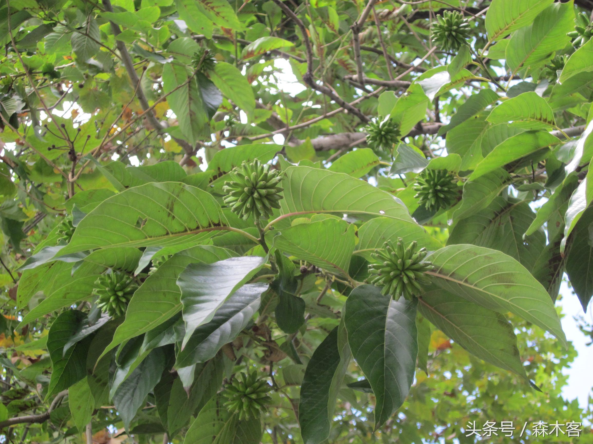 昆明旅游必打卡滇池后海,彩云之南滇池之旅