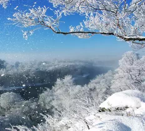 逊克雾凇美景,黑河市大平台雾凇旅游攻略