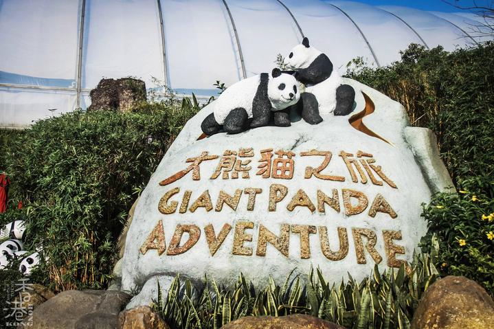 游玩香港海洋公园视频,玩转香港攻略5天4晚