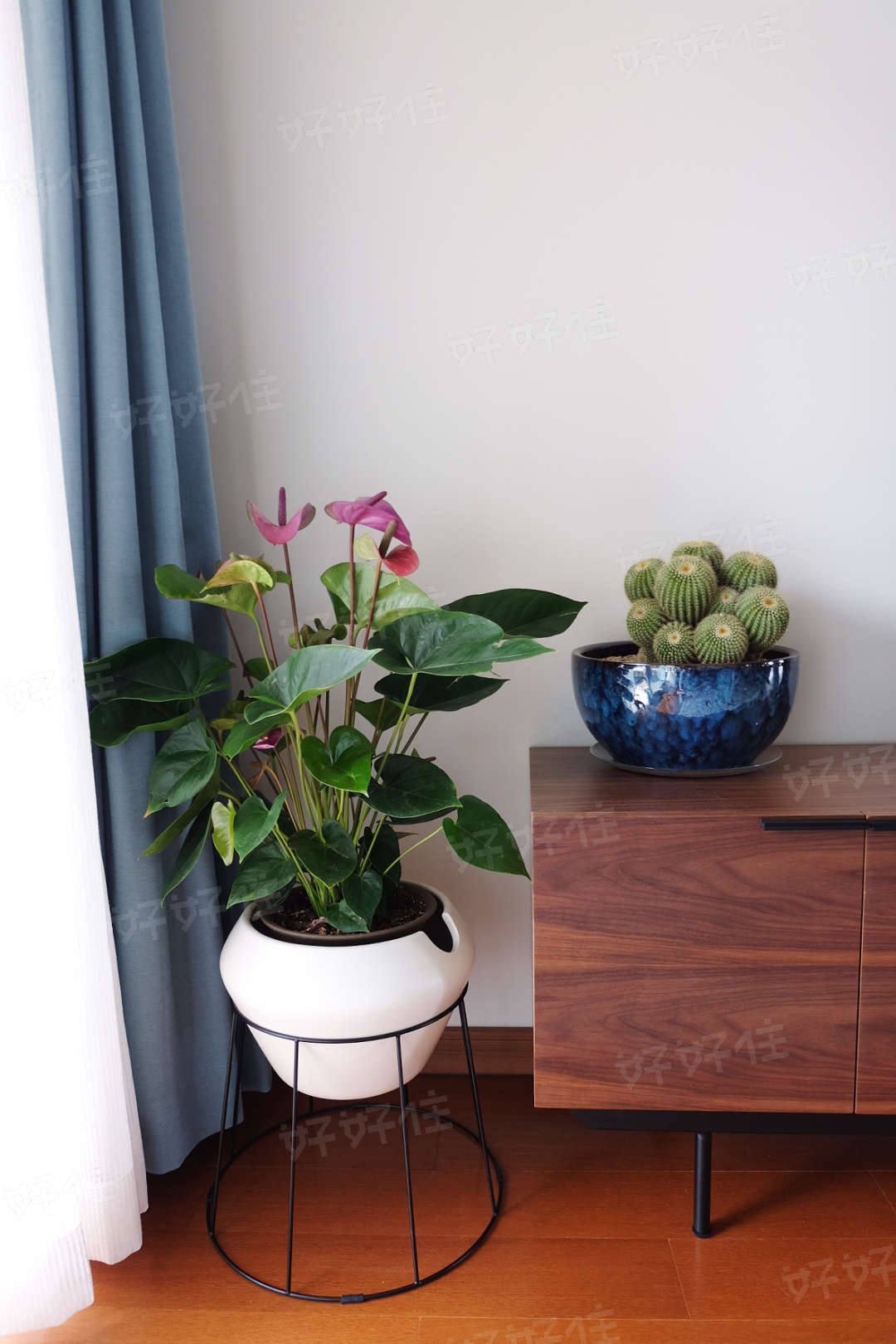 把阳台改造属于自己的小天地,把一平米的小阳台改造成秘密基地