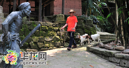 川美，看起不像是读书的地方